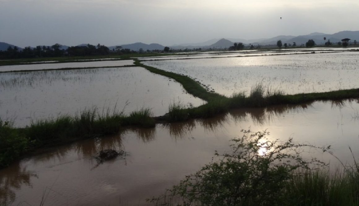 Mandalay to Hsipaw